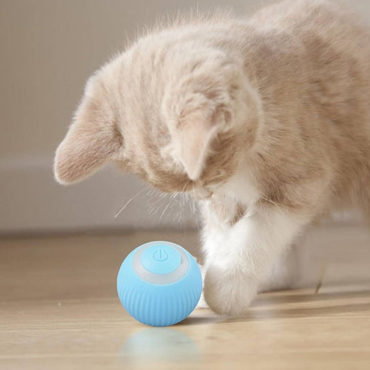 Juguete Bola Inteligente Para Mascotas